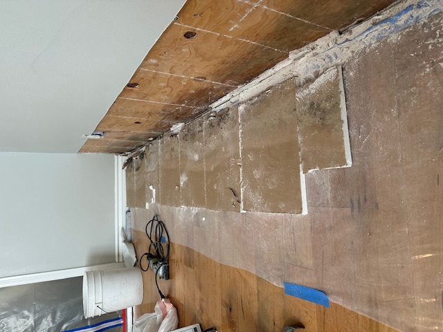 Condo leaks, exterior planter leaks creating water damage, mold